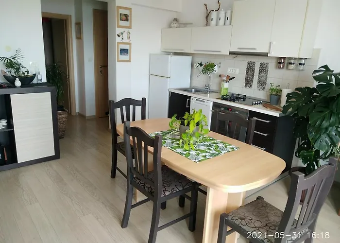 Private Pool And Sea View 公寓